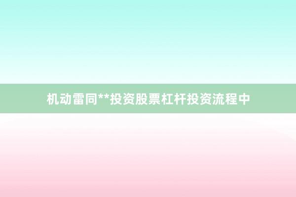 机动雷同**投资股票杠杆投资流程中