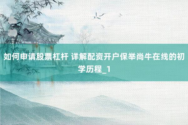 如何申请股票杠杆 详解配资开户保举尚牛在线的初学历程_1
