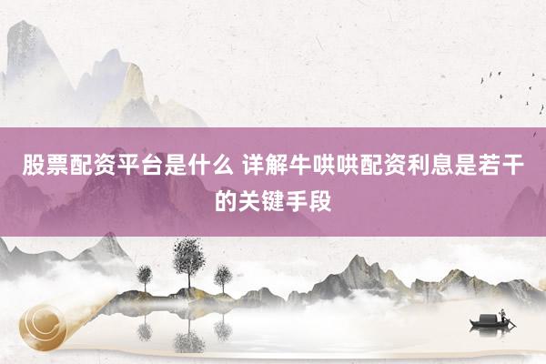 股票配资平台是什么 详解牛哄哄配资利息是若干的关键手段
